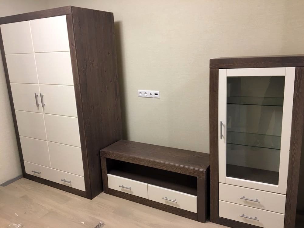 Шкаф Брамминг комбинированный (2 двери, 1 ящик)