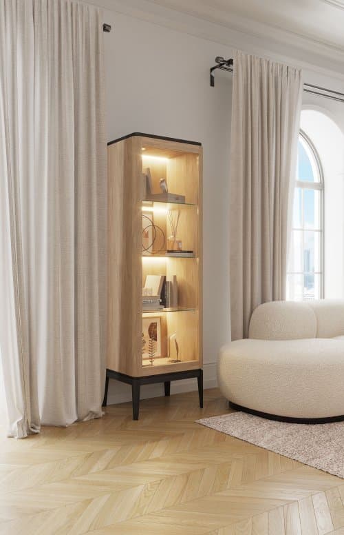 Витрина ICONS РВ 101