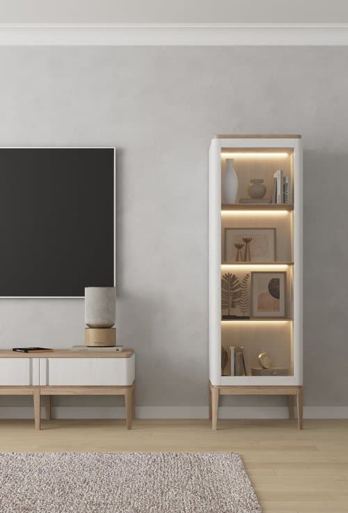 Витрина ICONS РВ 101