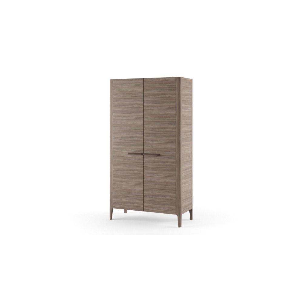 Шкаф для одежды D2 (двухстворчатый) Enzo ВМФ-2708